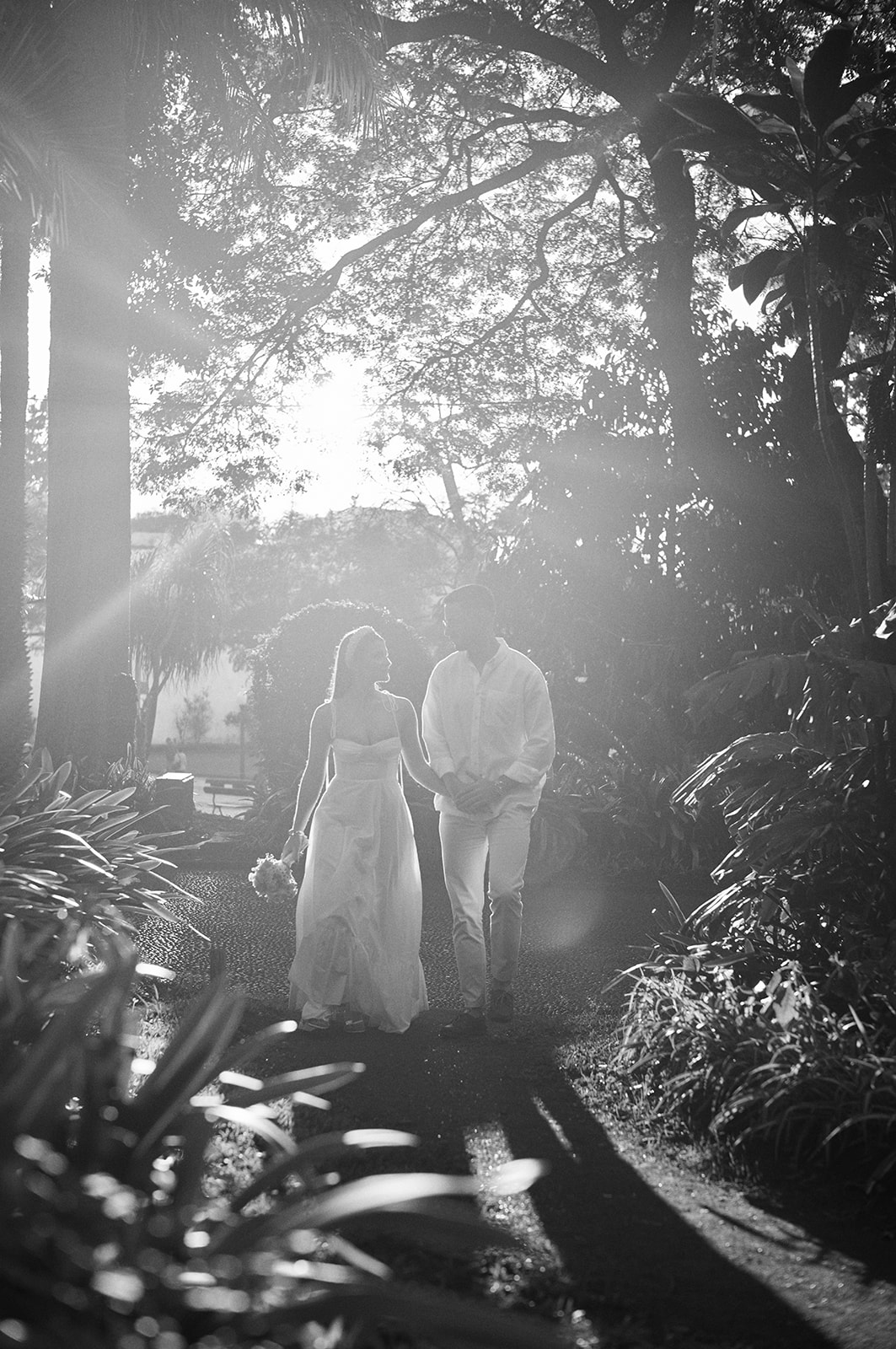 Backlit couple among the trees at Queimadas, Madeira, in black and white