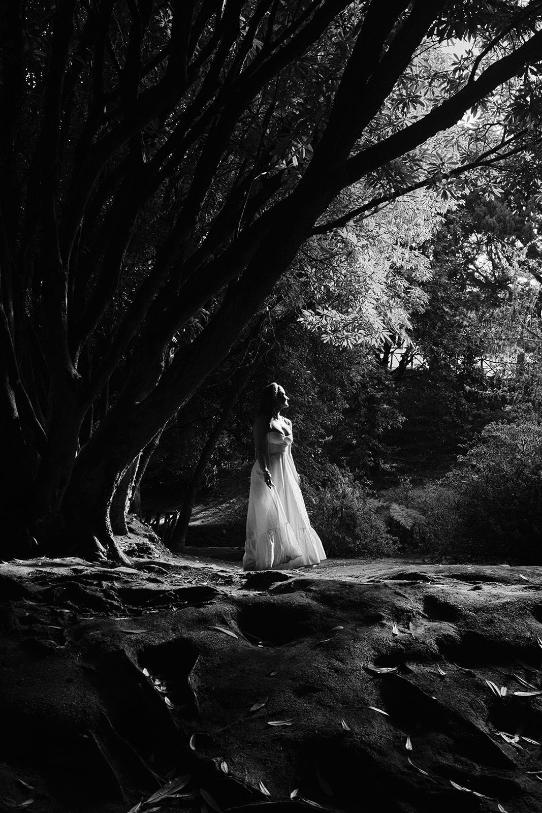 Bridal portrait in the forest at Parque das Queimadas in black and white