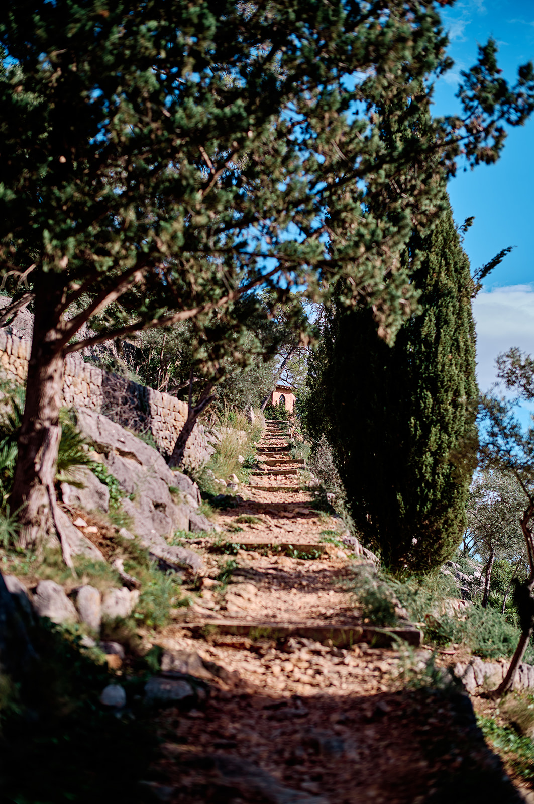 Raixa estate elopement, Mallorca