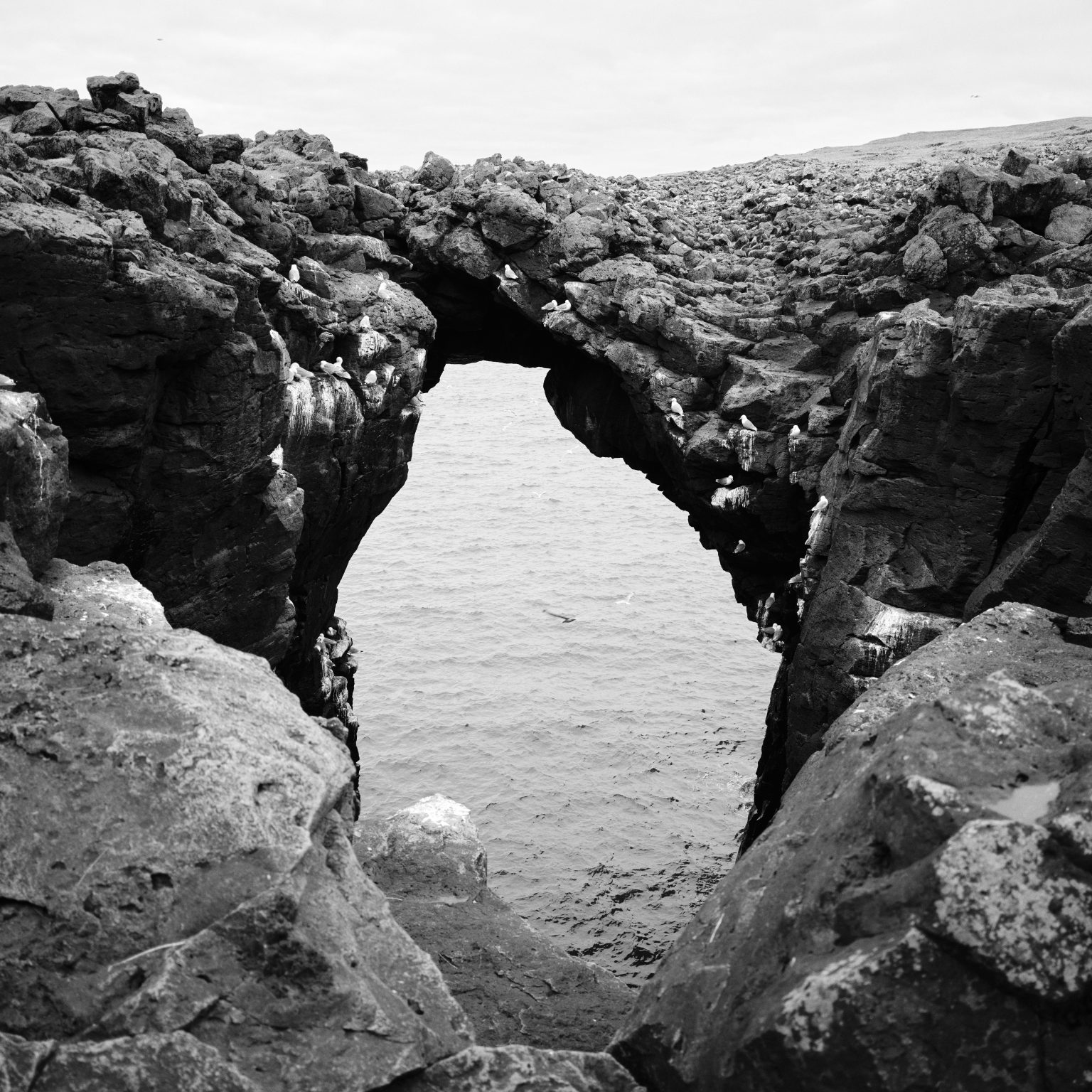 The basalt arch at Arnarstapi above the sea
