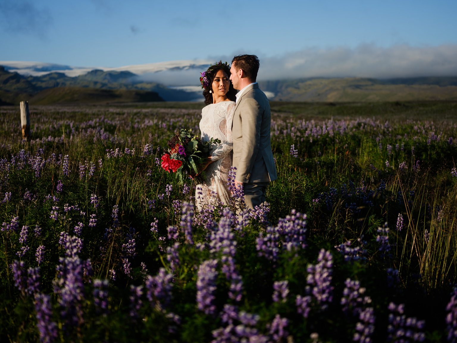 Couple kissing in a lupine field, South Iceland elopement