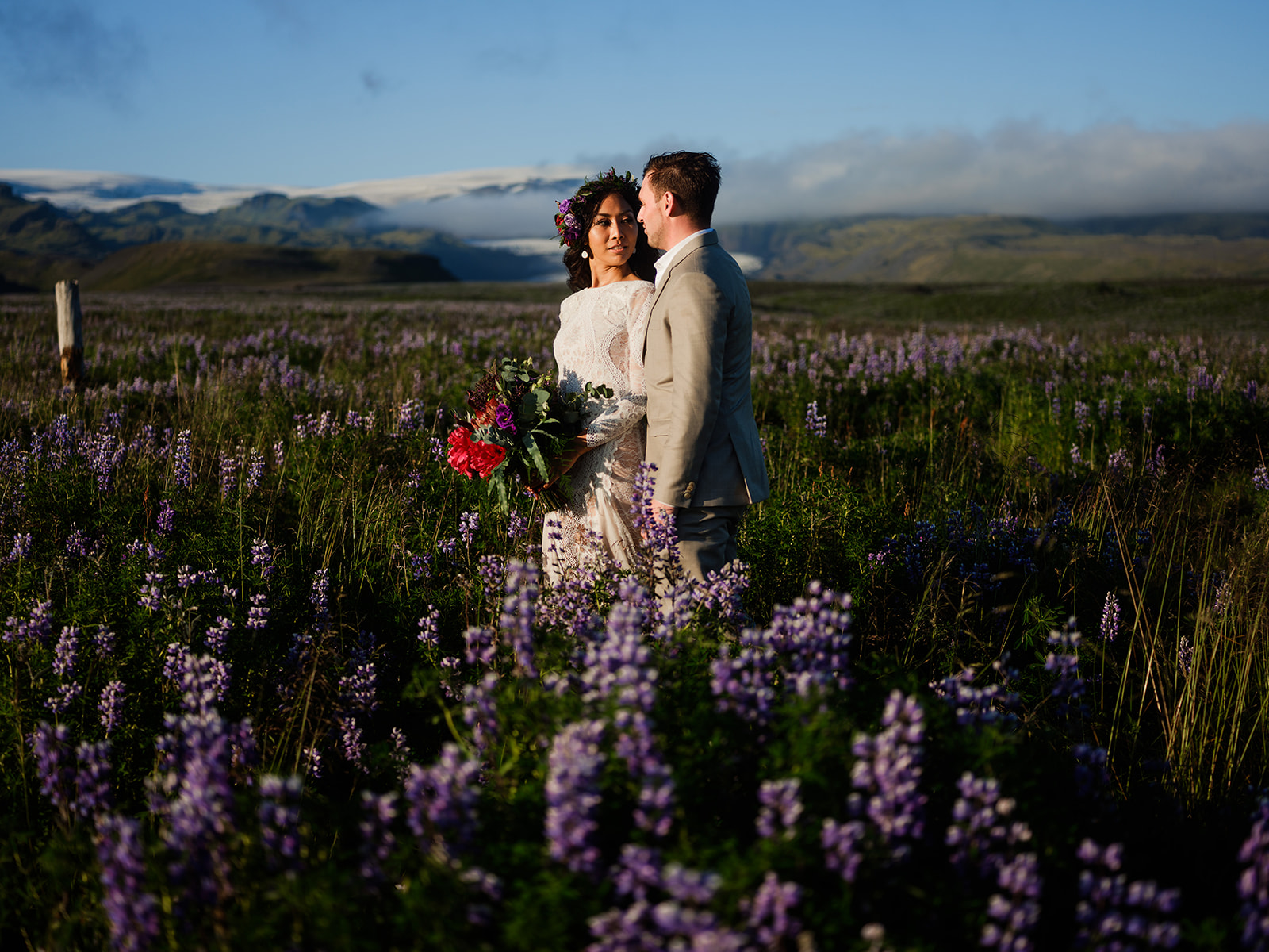 Couple kissing in a lupine field, South Iceland elopement