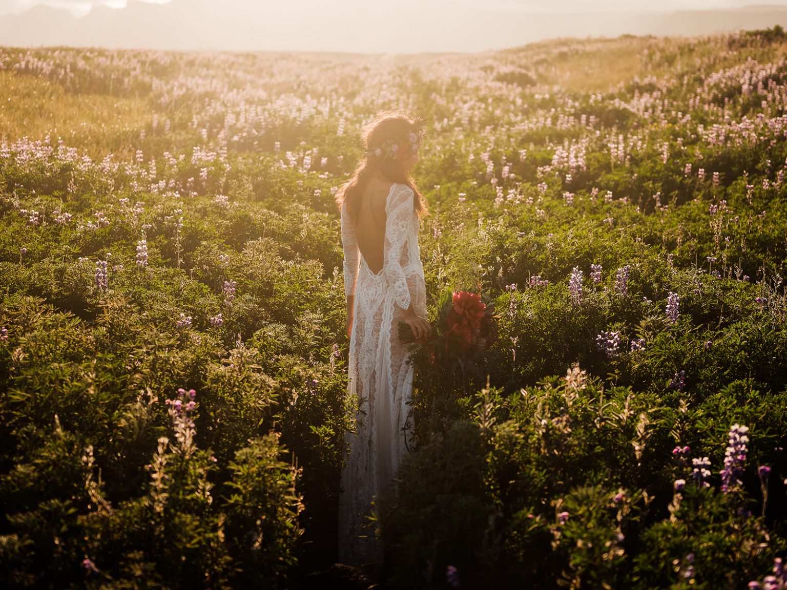 Bride in a field of tall grass and flowers, South Iceland elopement