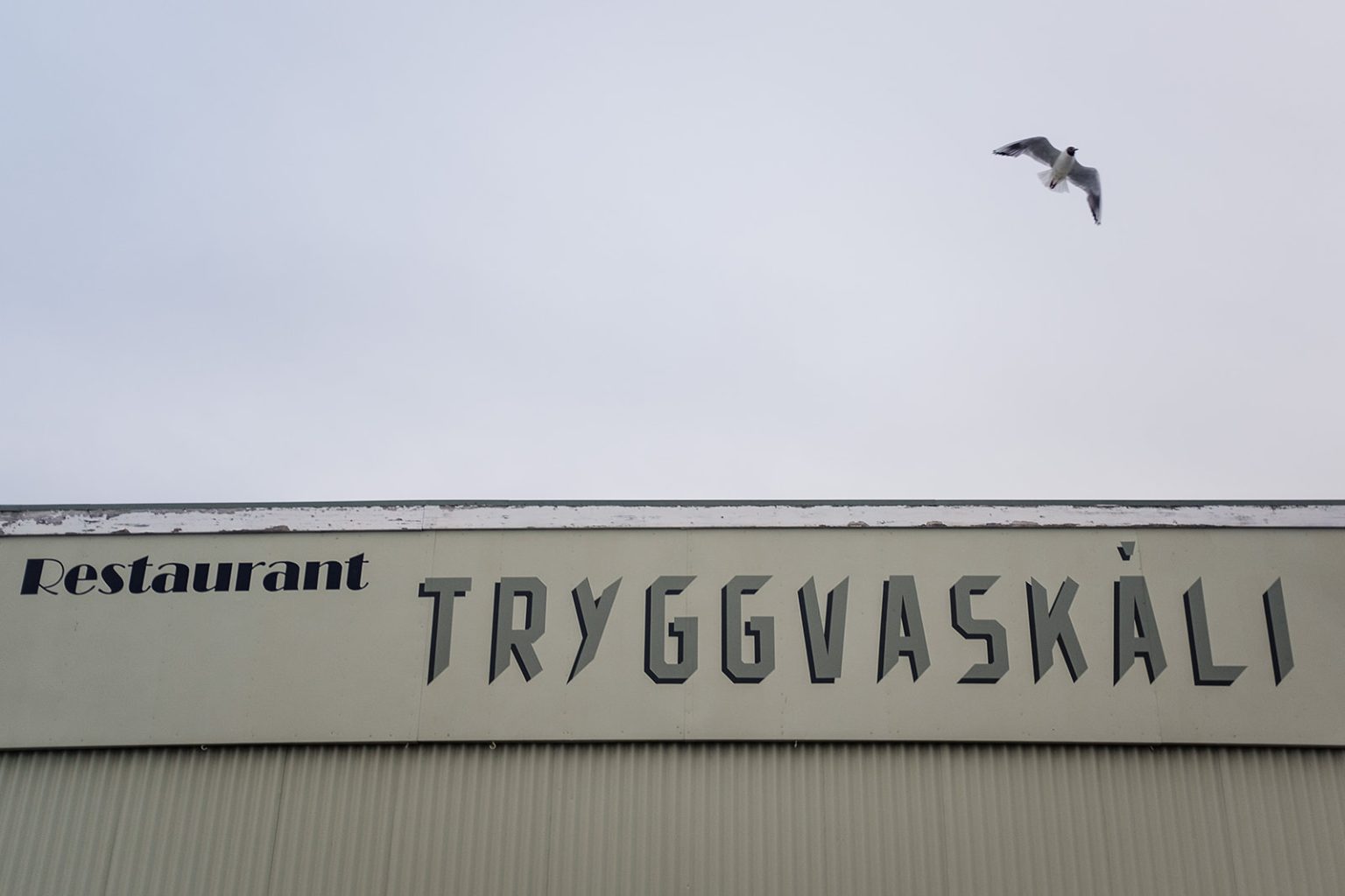 Bride walking to Tryggvaskali restaurant after her South Iceland elopement