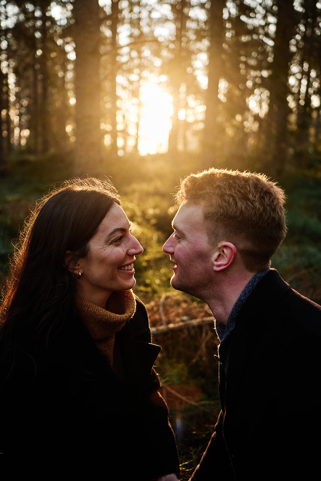 Couple in the golden reeds on the Baltic shore near Hop Farm Beach, Söderhamn - Nordica Photography