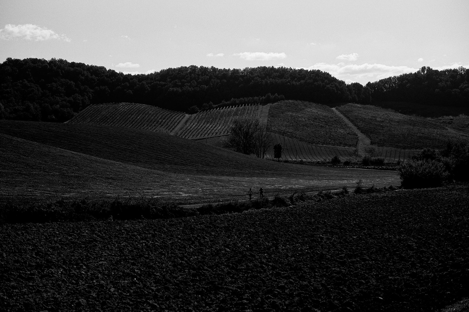 Monica and Marco in the olive groves of Umbria