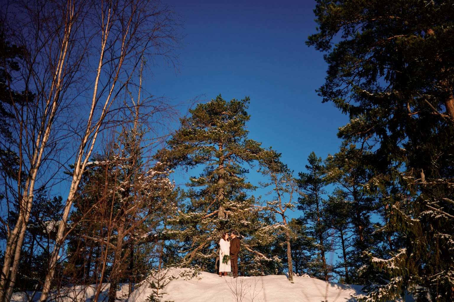Deep snow and blue sky in the Swedish forest, winter