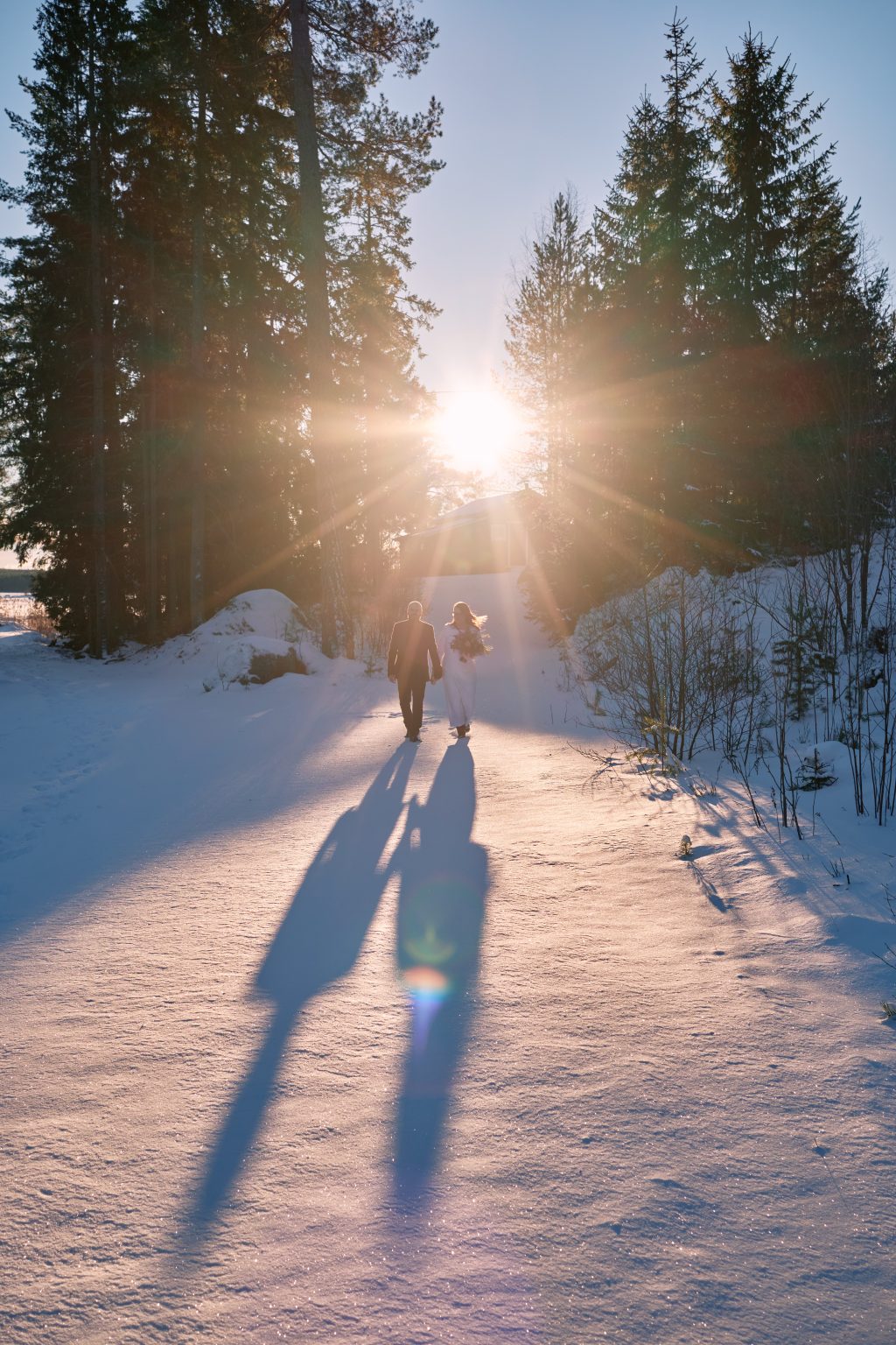 Long winter shadows and sunburst through the trees, Sweden
