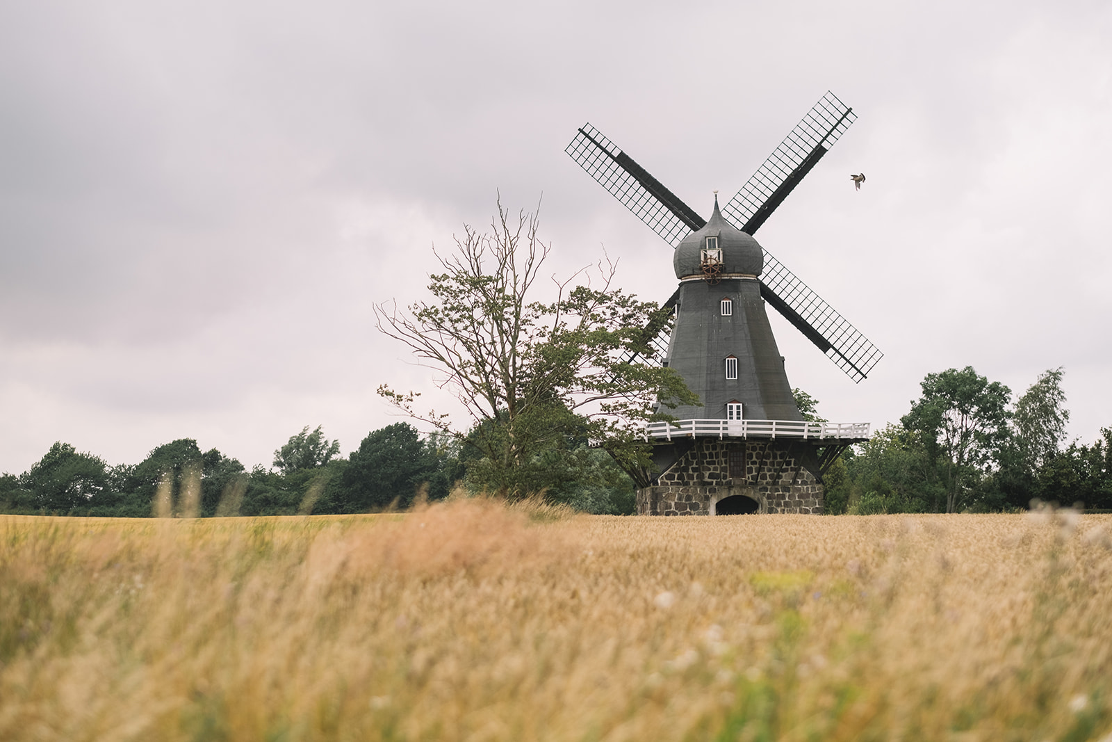 A windmill in the fields of southern Skåne