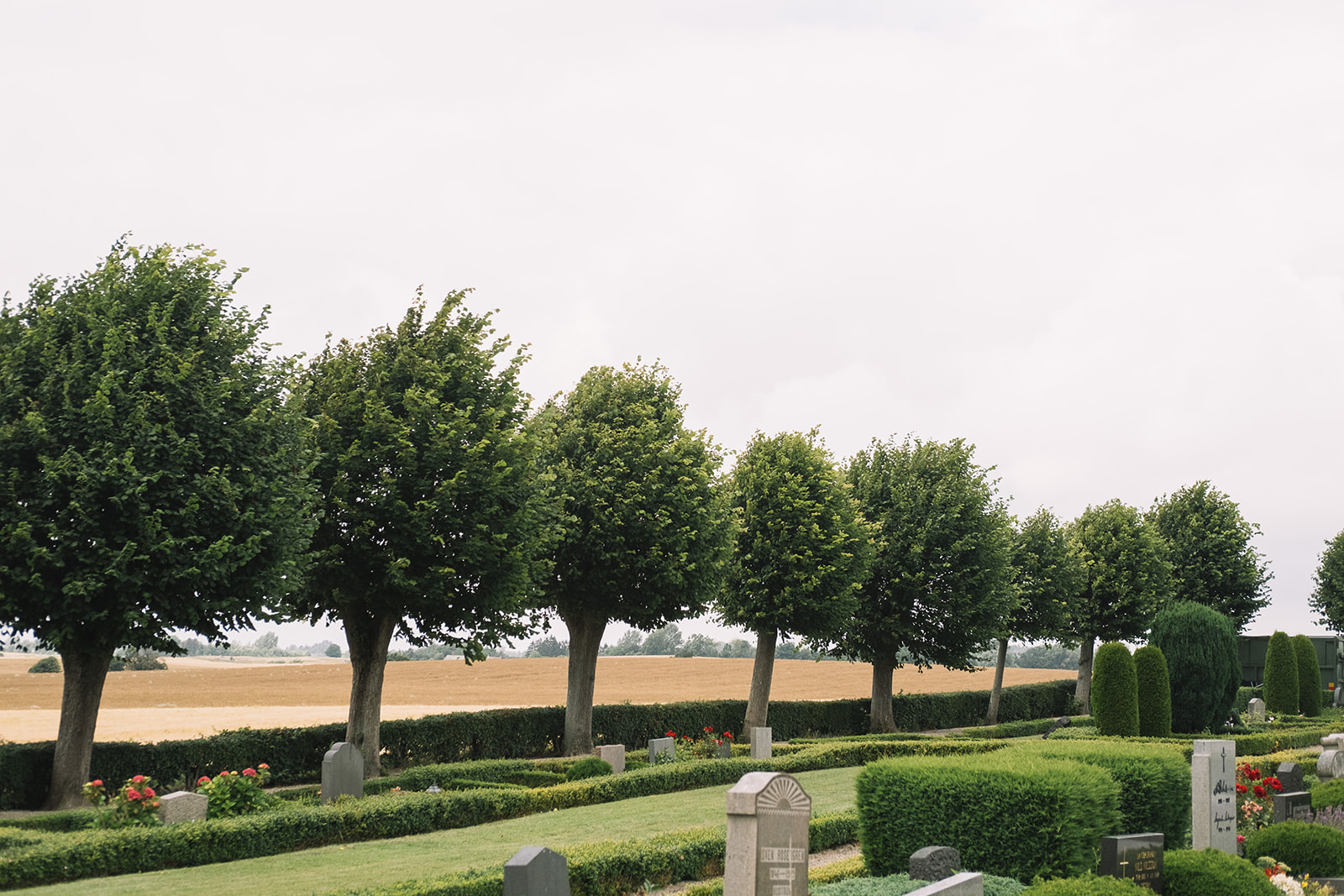The tree avenue through the churchyard at Fru Alstad