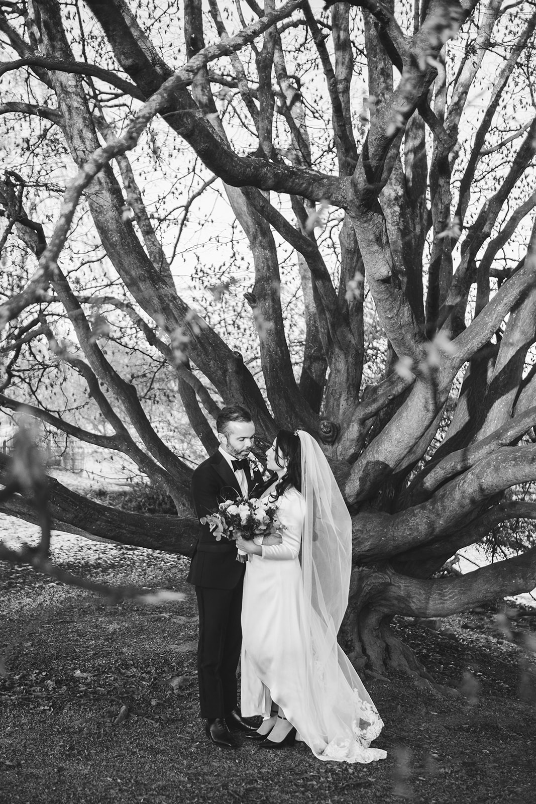 The bride beneath a bare oak on Djurgården, black and white