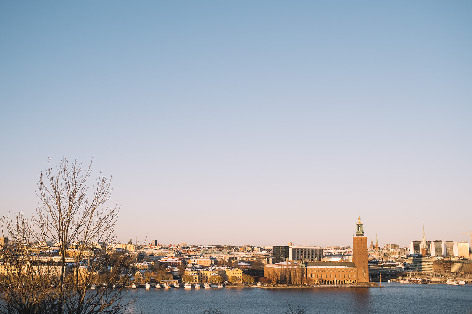Stockholm from Skinnarviksberget, City Hall across the water