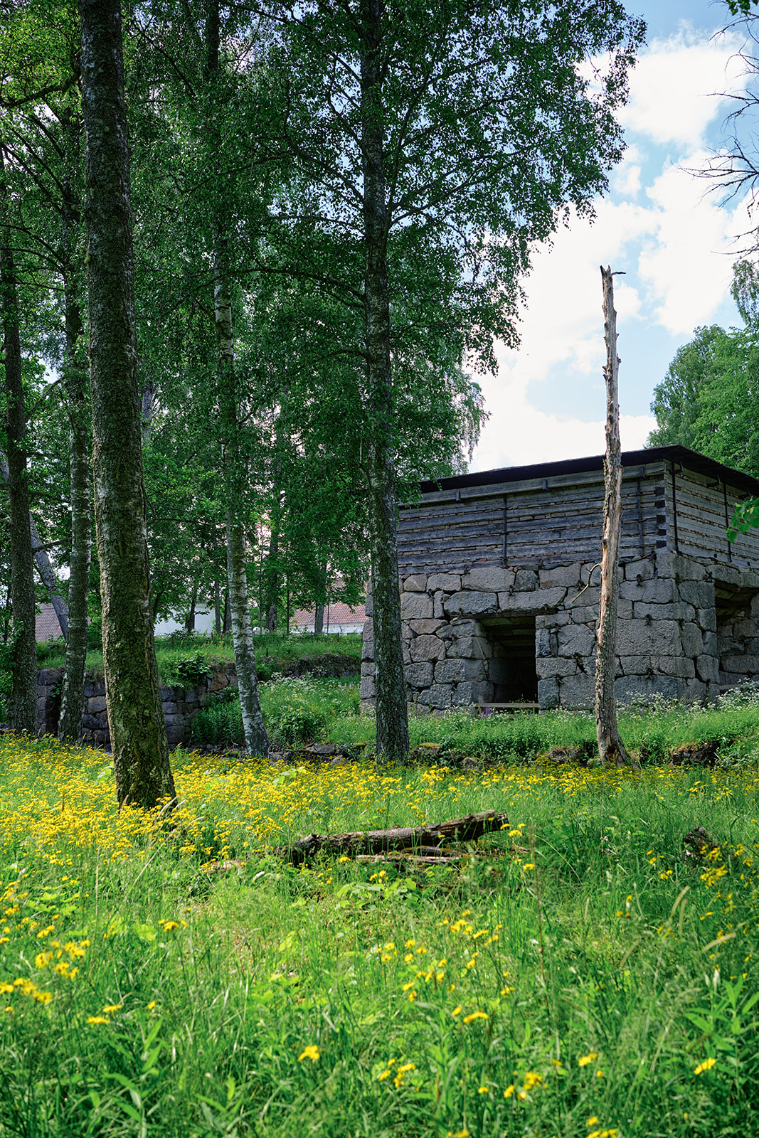 An old ironworks building standing in a buttercup meadow at Gysinge