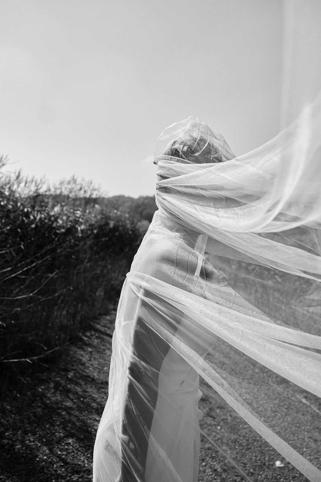 The bride veil caught in the wind in a field, black and white