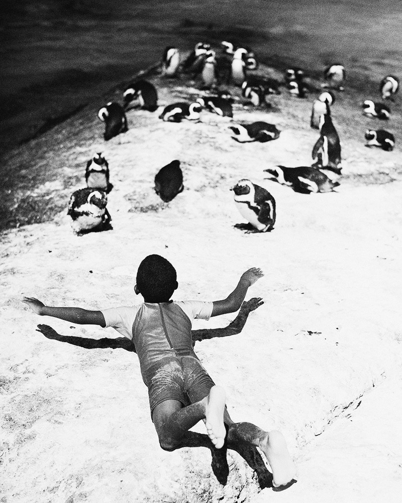 A woman lying on rock among penguins, black and white
